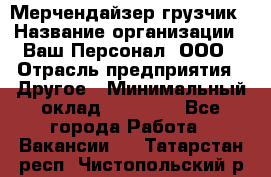 Мерчендайзер-грузчик › Название организации ­ Ваш Персонал, ООО › Отрасль предприятия ­ Другое › Минимальный оклад ­ 40 000 - Все города Работа » Вакансии   . Татарстан респ.,Чистопольский р-н
